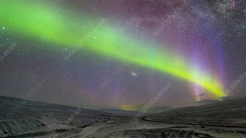 山东进出口有限公司